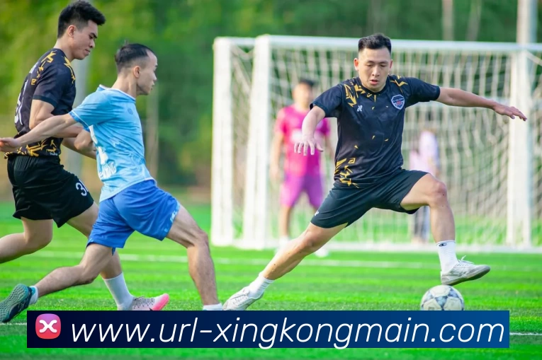 App Interface Preview